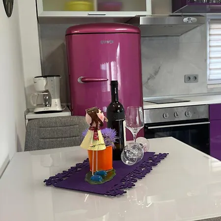 Apartment Anica *