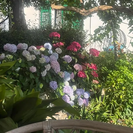 Anica Supetarska Draga