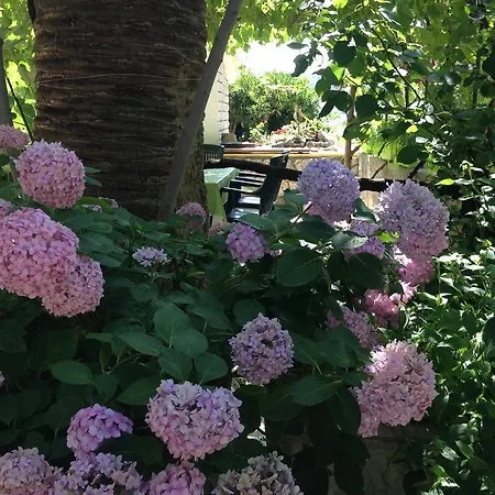 Anica Supetarska Draga