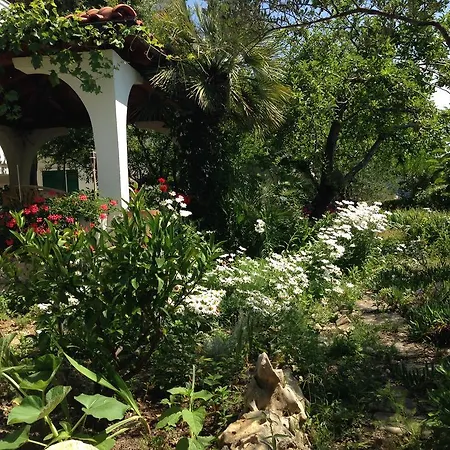 Apartment Anica Supetarska Draga